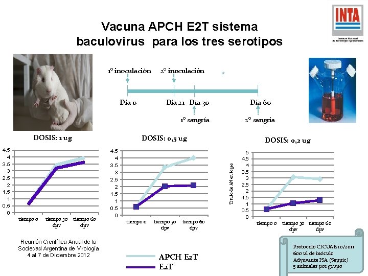 Vacuna APCH E 2 T sistema baculovirus para los tres serotipos 1° inoculación Día