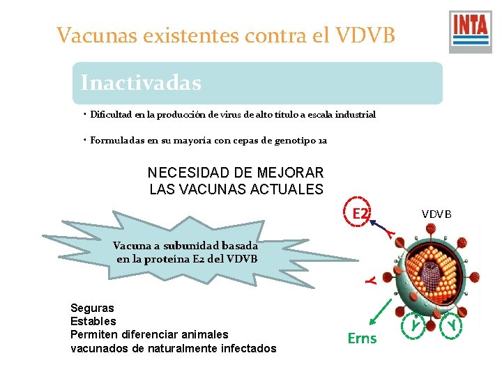 Vacunas existentes contra el VDVB Inactivadas • Dificultad en la producción de virus de