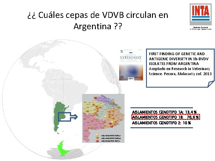 ¿¿ Cuáles cepas de VDVB circulan en Argentina ? ? FIRST FINDING OF GENETIC