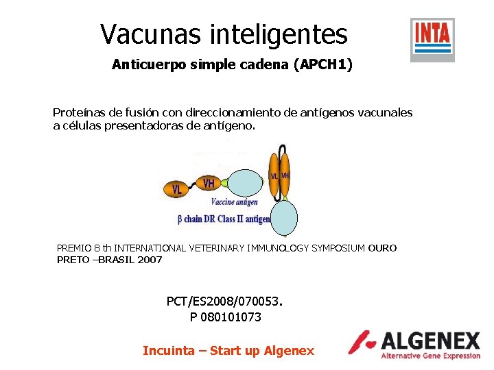 Vacunas inteligentes Anticuerpo simple cadena (APCH 1) Proteínas de fusión con direccionamiento de antígenos
