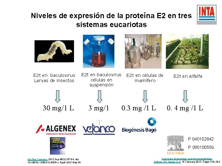 Niveles de expresión de la proteína E 2 en tres sistemas eucariotas E 2