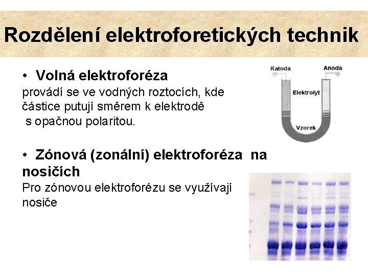 Rozdělení elektroforetických technik • Volná elektroforéza provádí se ve vodných roztocích, kde částice putují