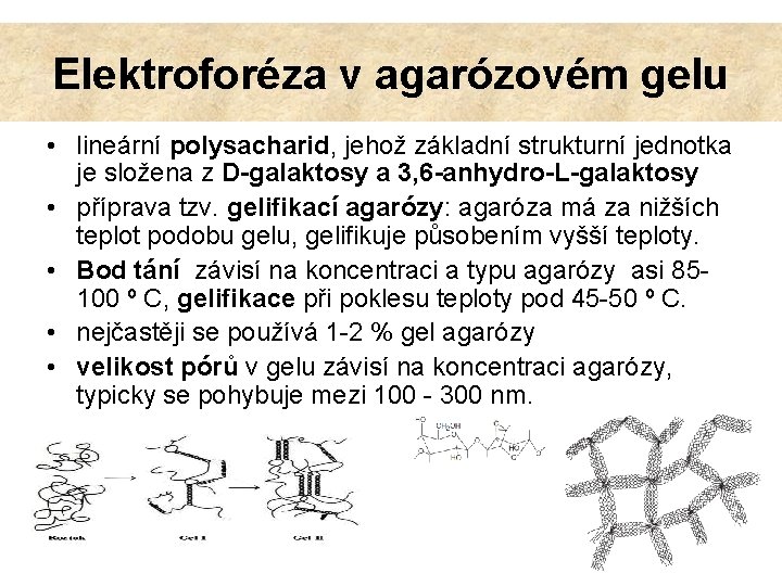 Elektroforéza v agarózovém gelu • lineární polysacharid, jehož základní strukturní jednotka je složena z