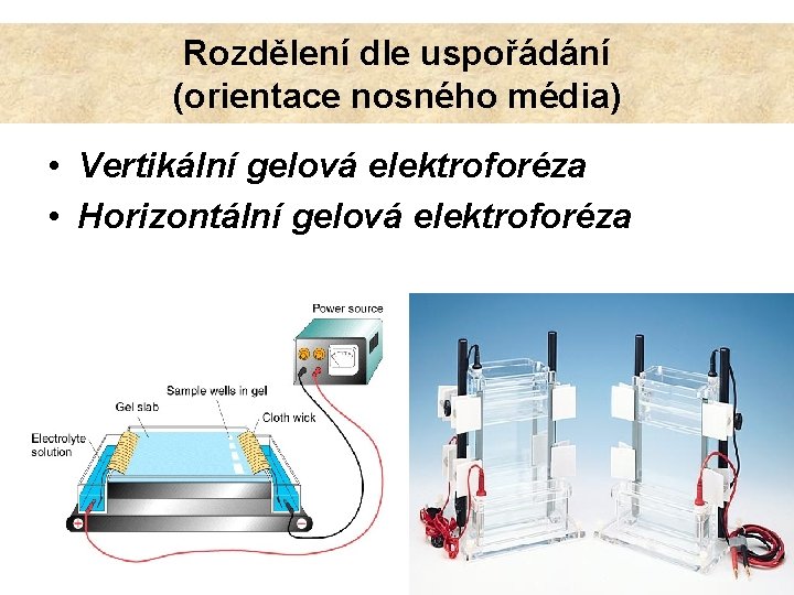 Rozdělení dle uspořádání (orientace nosného média) • Vertikální gelová elektroforéza • Horizontální gelová elektroforéza