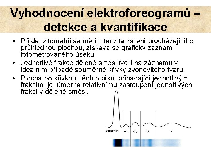 Vyhodnocení elektroforeogramů – detekce a kvantifikace • Při denzitometrii se měří intenzita záření procházejícího