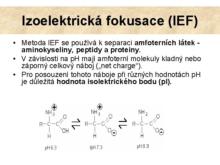 Izoelektrická fokusace (IEF) • Metoda IEF se používá k separaci amfoterních látek - aminokyseliny,
