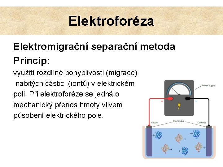Elektroforéza Elektromigrační separační metoda Princip: využití rozdílné pohyblivosti (migrace) nabitých částic (iontů) v elektrickém