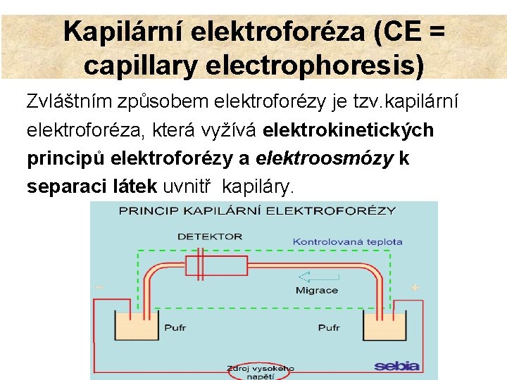 Kapilární elektroforéza (CE = capillary electrophoresis) Zvláštním způsobem elektroforézy je tzv. kapilární elektroforéza, která