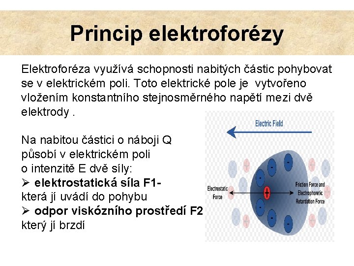 Princip elektroforézy Elektroforéza využívá schopnosti nabitých částic pohybovat se v elektrickém poli. Toto elektrické