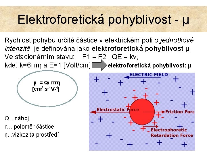 Elektroforetická pohyblivost - µ Rychlost pohybu určité částice v elektrickém poli o jednotkové intenzitě