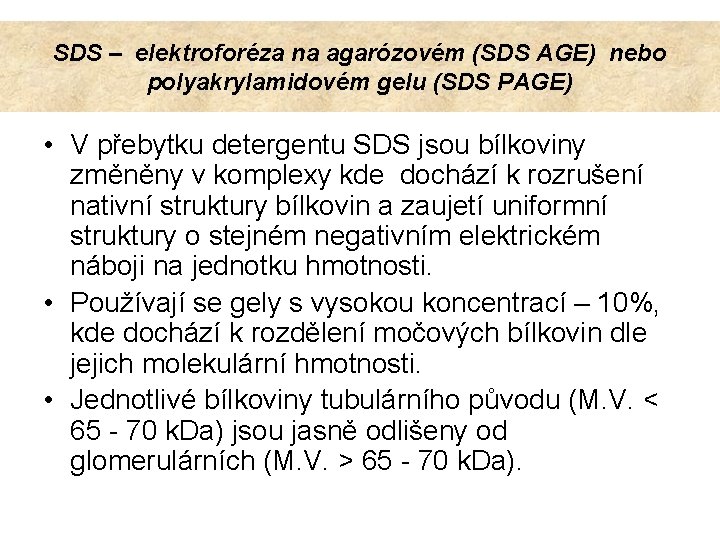 SDS – elektroforéza na agarózovém (SDS AGE) nebo polyakrylamidovém gelu (SDS PAGE) • V