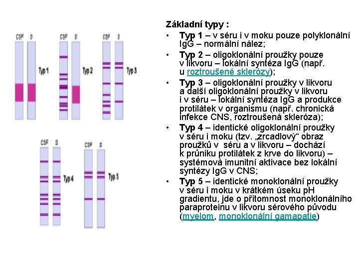 Základní typy : • Typ 1 – v séru i v moku pouze polyklonální