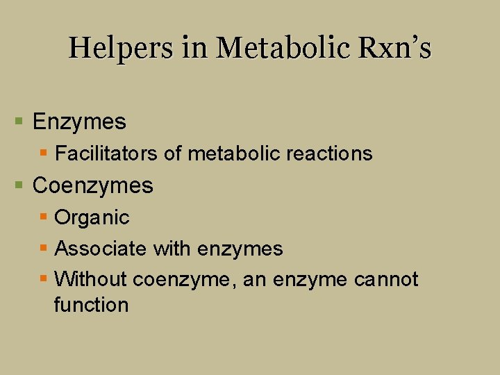 Helpers in Metabolic Rxn’s § Enzymes § Facilitators of metabolic reactions § Coenzymes §