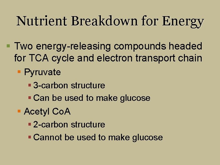 Nutrient Breakdown for Energy § Two energy-releasing compounds headed for TCA cycle and electron