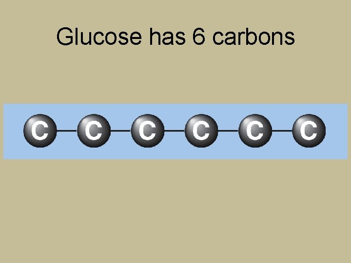 Glucose has 6 carbons 