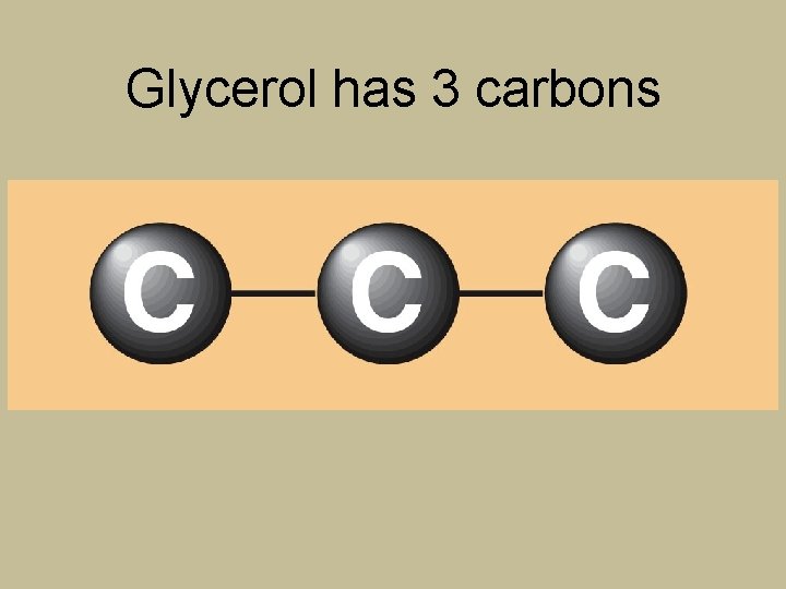 Glycerol has 3 carbons 