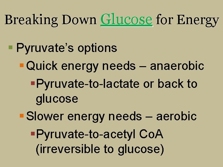 Breaking Down Glucose for Energy § Pyruvate’s options § Quick energy needs – anaerobic