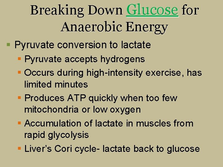 Breaking Down Glucose for Anaerobic Energy § Pyruvate conversion to lactate § Pyruvate accepts