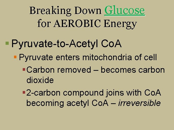 Breaking Down Glucose for AEROBIC Energy § Pyruvate-to-Acetyl Co. A § Pyruvate enters mitochondria