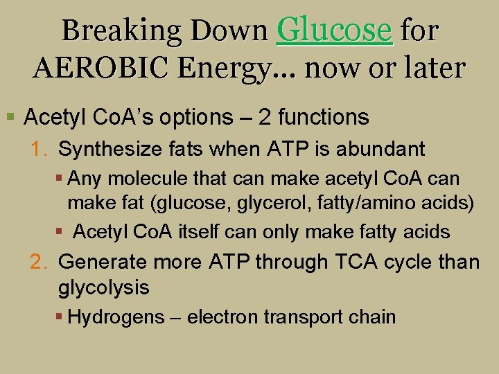 Breaking Down Glucose for AEROBIC Energy… now or later § Acetyl Co. A’s options