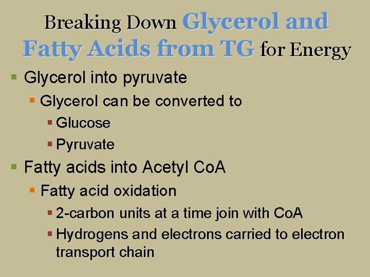 Breaking Down Glycerol and Fatty Acids from TG for Energy § Glycerol into pyruvate