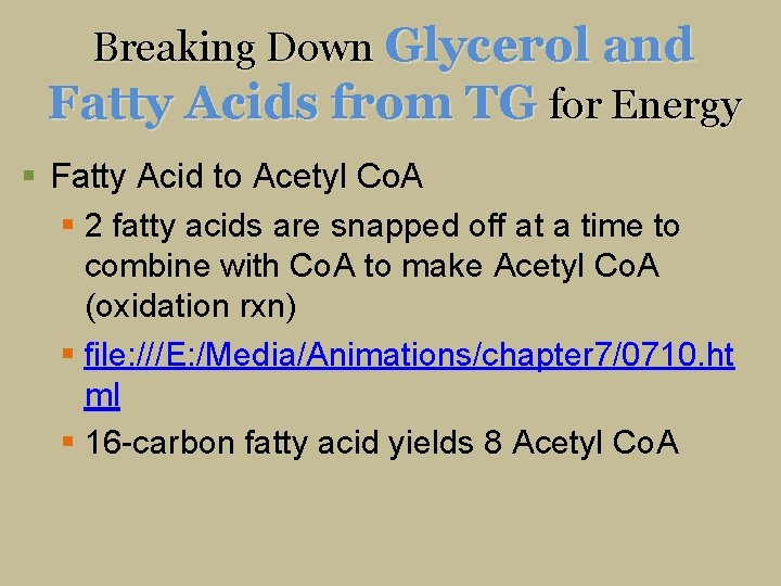 Breaking Down Glycerol and Fatty Acids from TG for Energy § Fatty Acid to