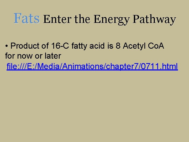 Fats Enter the Energy Pathway • Product of 16 -C fatty acid is 8