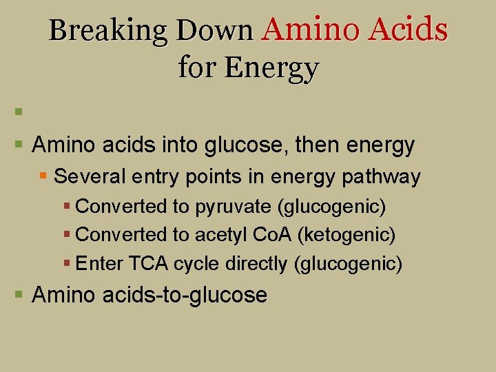Breaking Down Amino Acids for Energy § § Amino acids into glucose, then energy