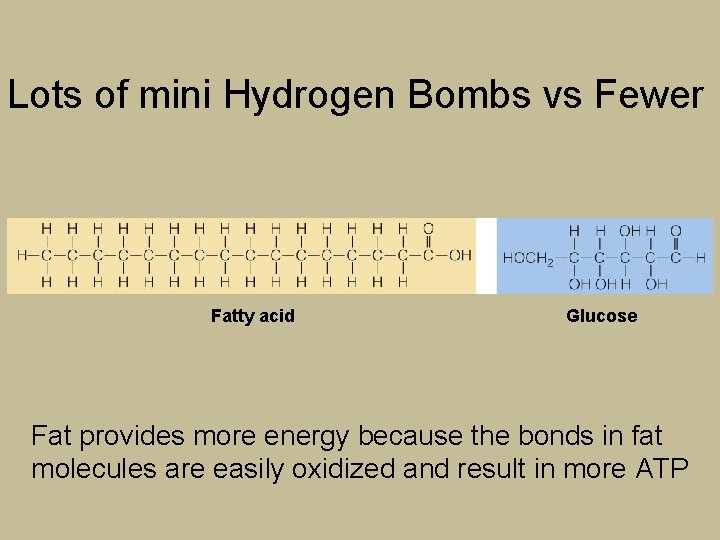 Lots of mini Hydrogen Bombs vs Fewer Fatty acid Glucose Fat provides more energy