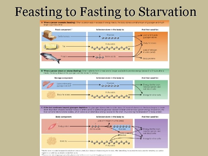 Feasting to Fasting to Starvation 