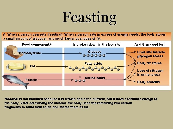 Feasting A When a person overeats (feasting): When a person eats in excess of