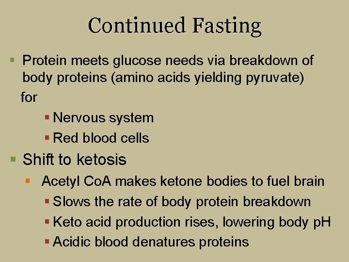 Continued Fasting § Protein meets glucose needs via breakdown of body proteins (amino acids
