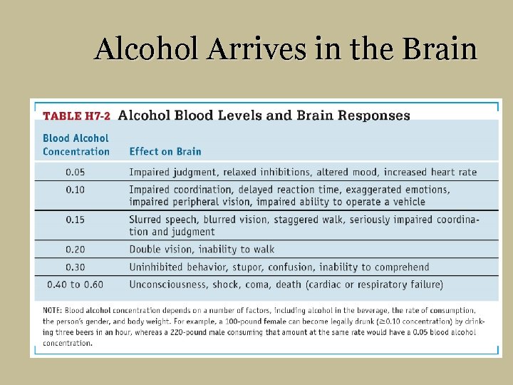 Alcohol Arrives in the Brain 