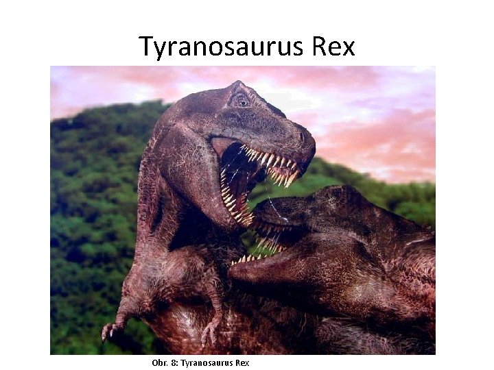 Tyranosaurus Rex Obr. 8: Tyranosaurus Rex 