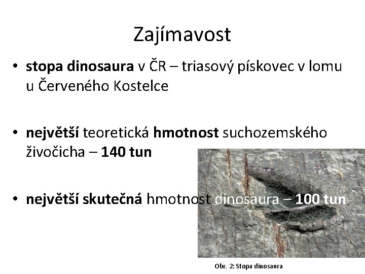Zajímavost • stopa dinosaura v ČR – triasový pískovec v lomu u Červeného Kostelce