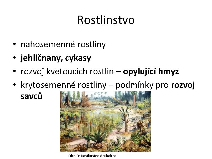 Rostlinstvo • • nahosemenné rostliny jehličnany, cykasy rozvoj kvetoucích rostlin – opylující hmyz krytosemenné