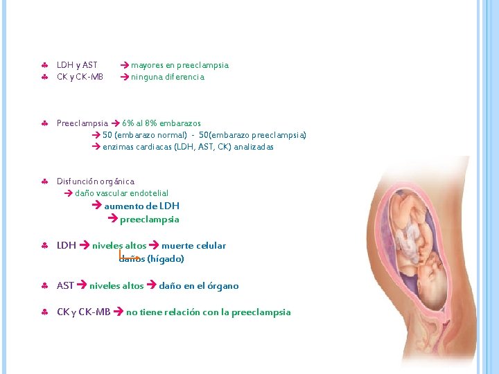  LDH y AST mayores en preeclampsia CK y CK-MB ninguna diferencia Preeclampsia 6%