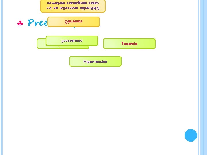 Disfunción endotelial en los vasos sanguíneos maternos Preeclampsia Síntomas Proteinuria Complicación Toxemia Hipertensión 