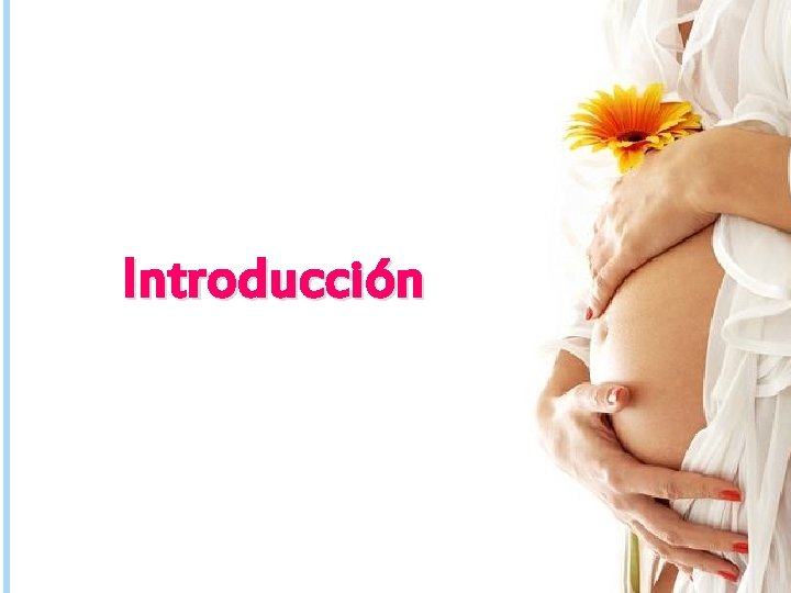 Introducción 