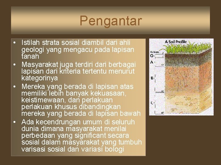 Pengantar • Istilah strata sosial diambil dari ahli geologi yang mengacu pada lapisan tanah