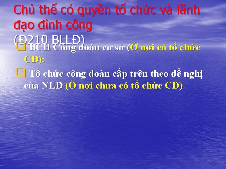 Chủ thể có quyền tổ chức và lãnh đạo đình công (Đ 210 BLLĐ)