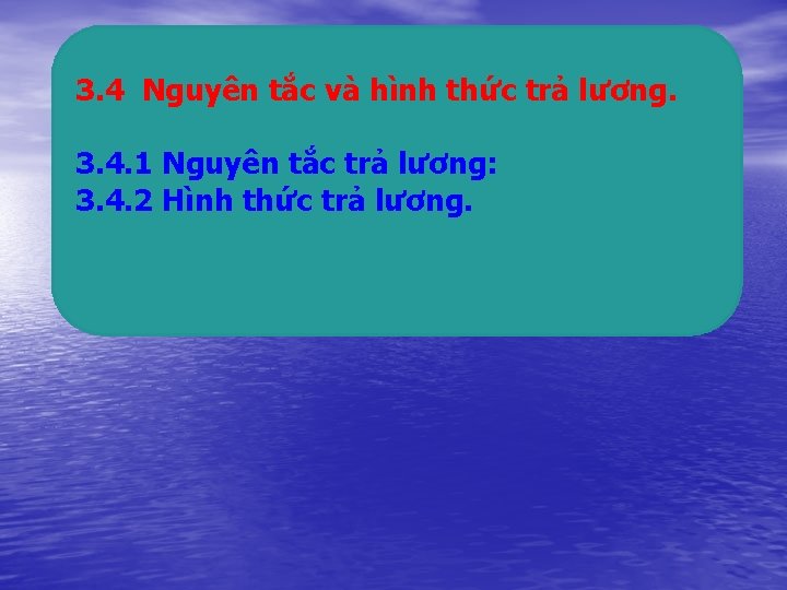 3. 4 Nguyên tắc và hình thức trả lương. 3. 4. 1 Nguyên tắc