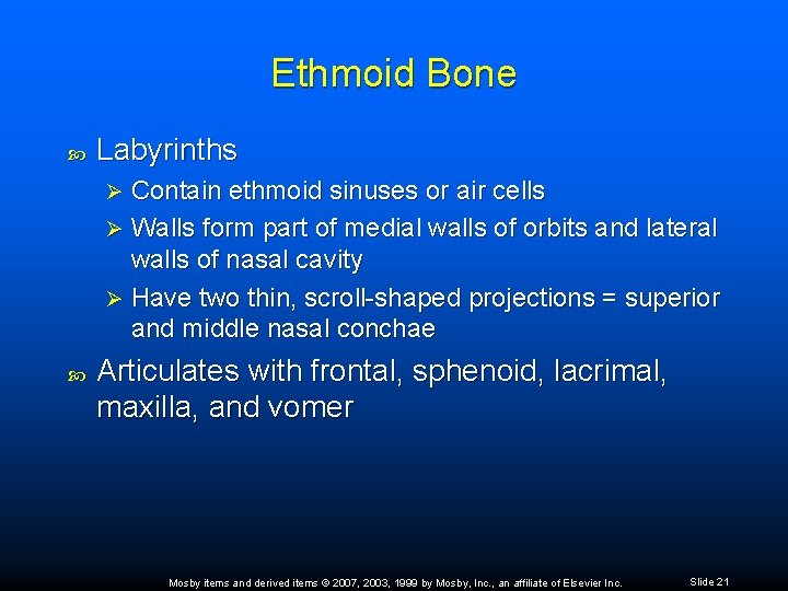 Ethmoid Bone Labyrinths Contain ethmoid sinuses or air cells Ø Walls form part of