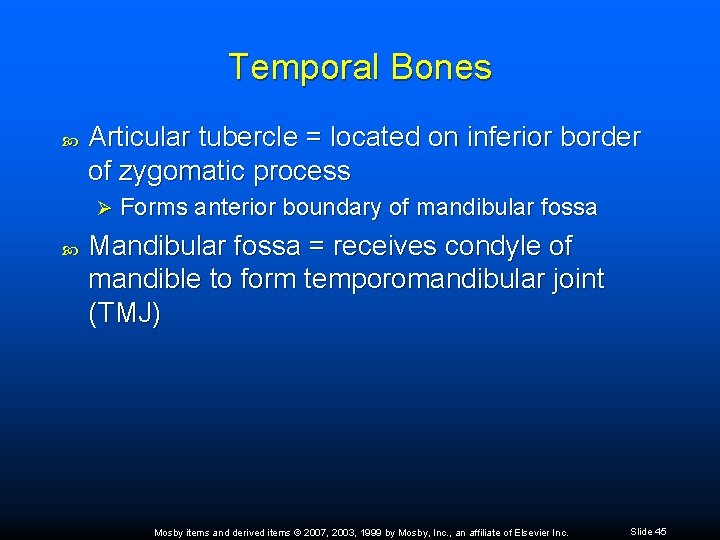 Temporal Bones Articular tubercle = located on inferior border of zygomatic process Ø Forms