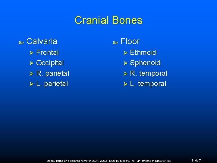 Cranial Bones Calvaria Frontal Ø Occipital Ø R. parietal Ø L. parietal Ø Floor