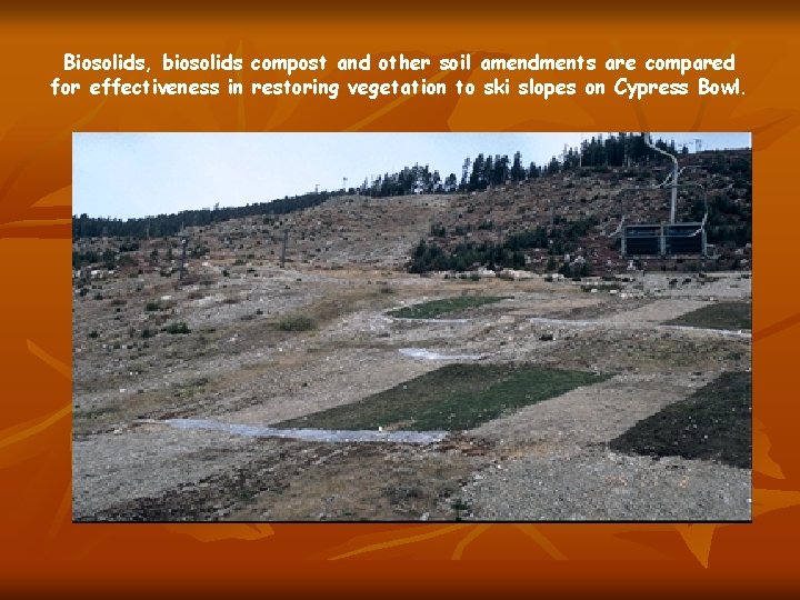 Biosolids, biosolids compost and other soil amendments are compared for effectiveness in restoring vegetation