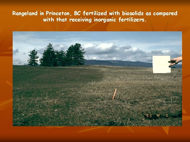 Rangeland in Princeton, BC fertilized with biosolids as compared with that receiving inorganic fertilizers.