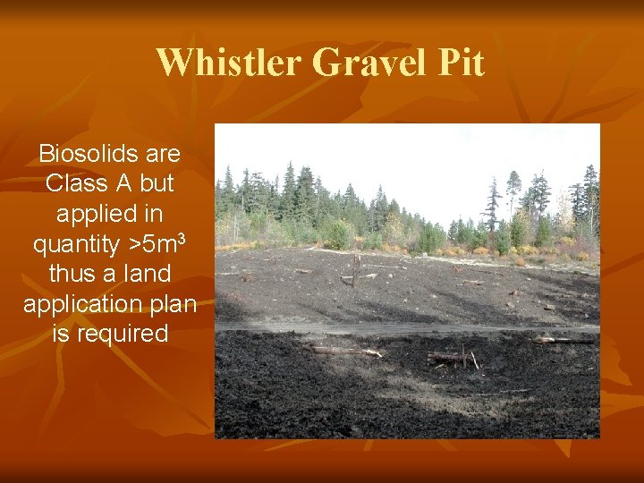 Whistler Gravel Pit Biosolids are Class A but applied in quantity >5 m 3