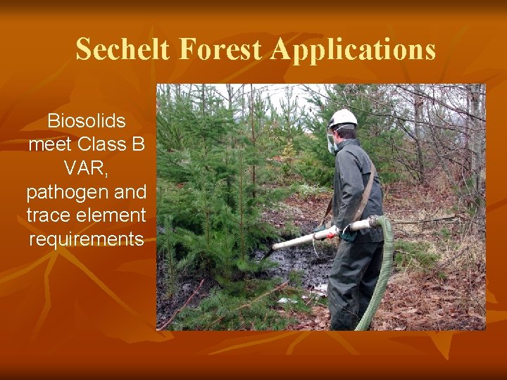 Sechelt Forest Applications Biosolids meet Class B VAR, pathogen and trace element requirements 