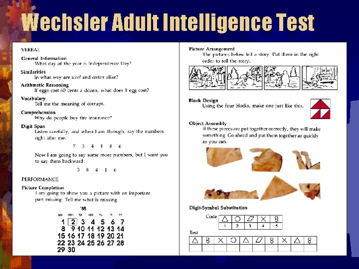 Wechsler Adult Intelligence Test 